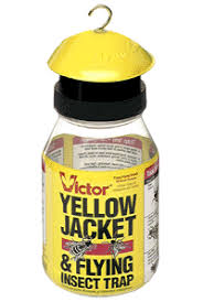 Yellow Jacket & Flying Insect Trap