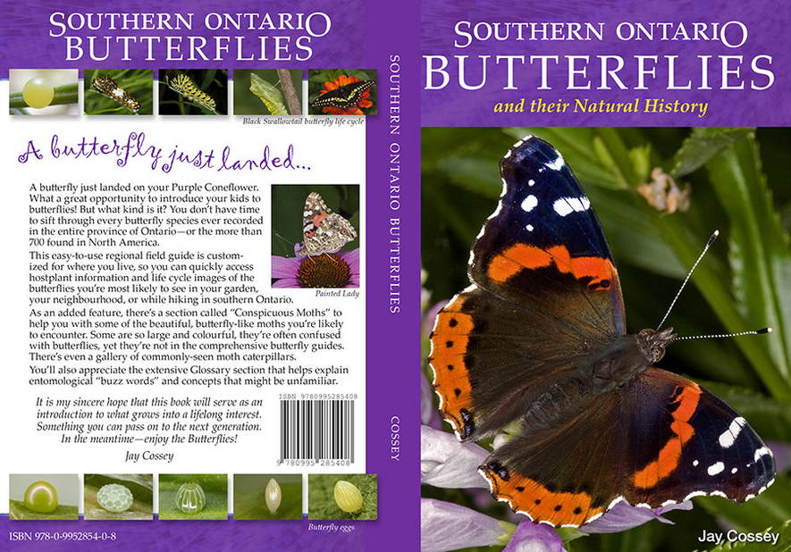 Southern Ontario Butterflies and their Natural History